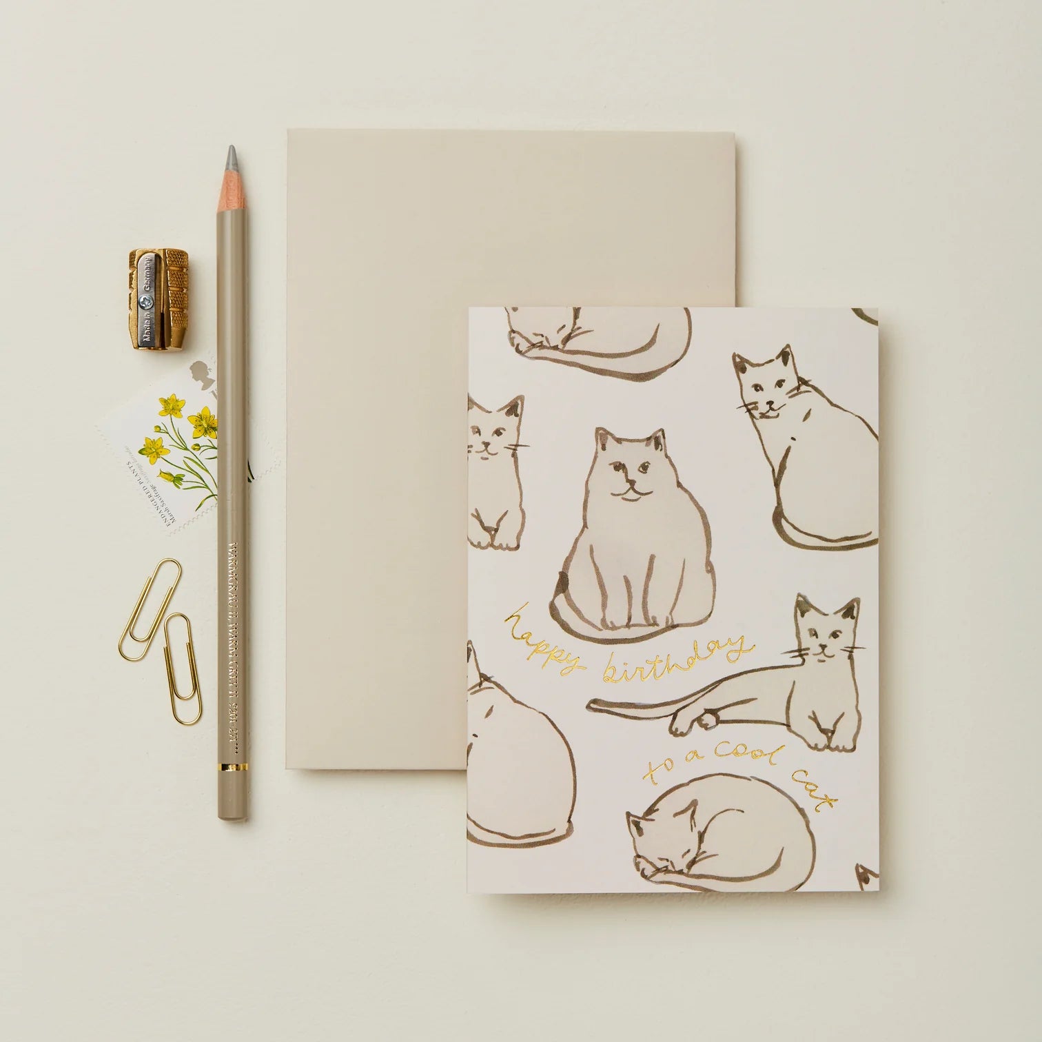 Carte féline 'Happy birthday to a cool cat'